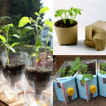 seed starter pots at Yet Another Mom Blog