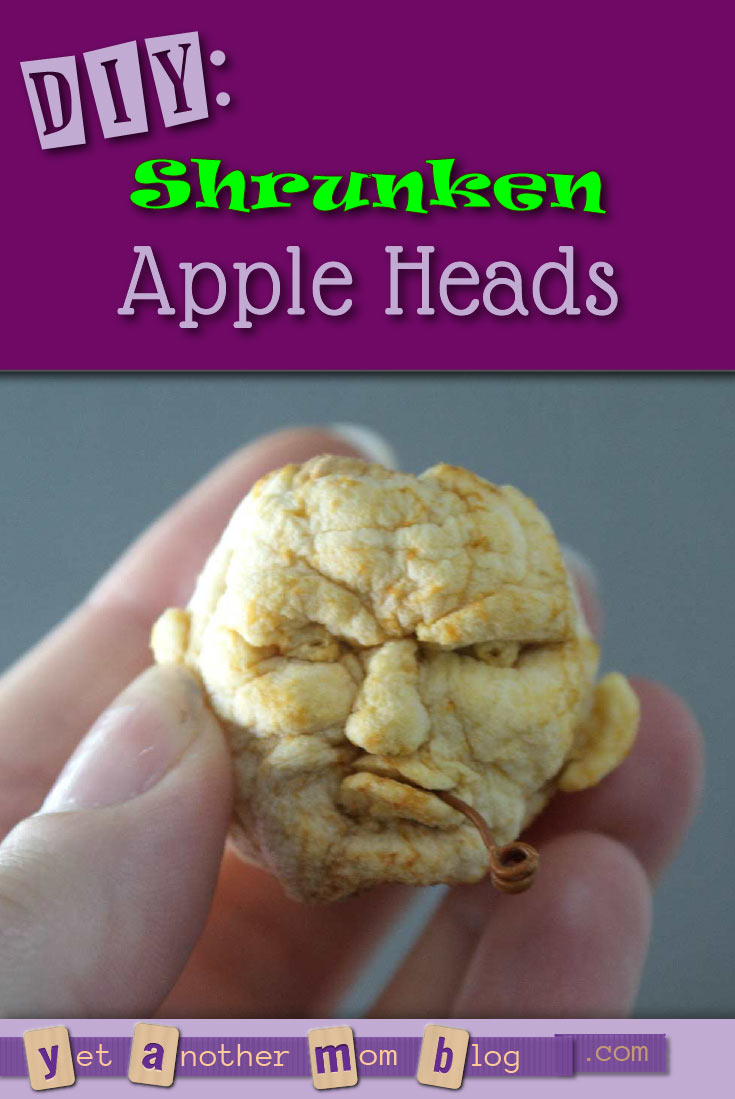 DIY: Shrunken Apple Heads - a good ol' fashioned craft that is cheap and easy... and guaranteed to make you laugh!