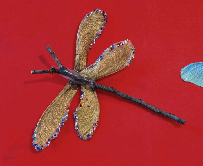 Dragonfly from seeds and twigs