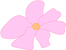 Large Pink Flower