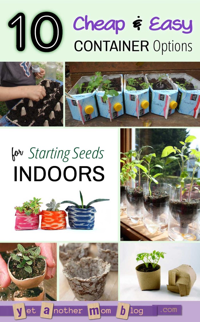 Ten Cheap and Easy Containers for Starting Seeds Indoors - who would have thought of #7?!