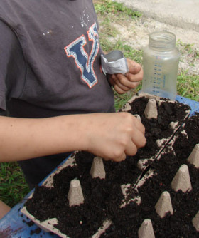 child planting seeds in egg carton