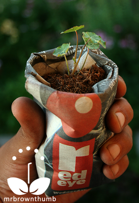 newspaper seed starting pot