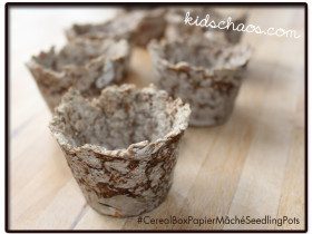 paper mâché seed pots
