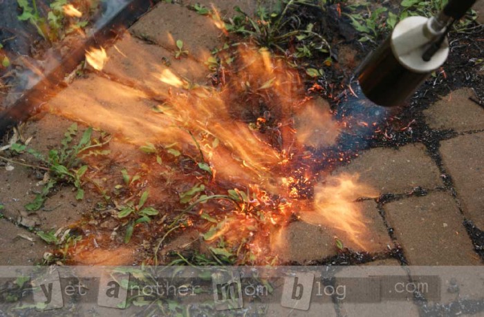 You can really crank up the flames on the garden torch