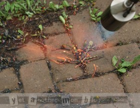 Weeding with a garden torch is a breeze!