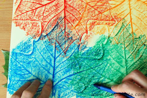 First-Palette-Leaf-Rubbings
