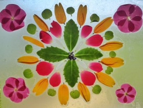 live-laugh-and-learn-make-your-own-flower-petal-stained-glass-design