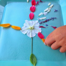 live-laugh-and-learn-make-your-own-flower-petal-stained-glass-inprogress