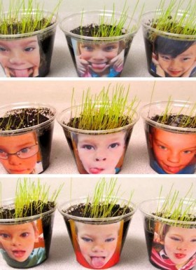 rainbows-within-reach-springtime-science-with-seeds