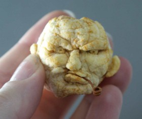 Shrunken Apple Head