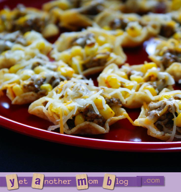 Recipe for Taco Appetizers or Kid-Friendly Snack - so quick and easy! Try other fillings too, like chicken with enchilada sauce