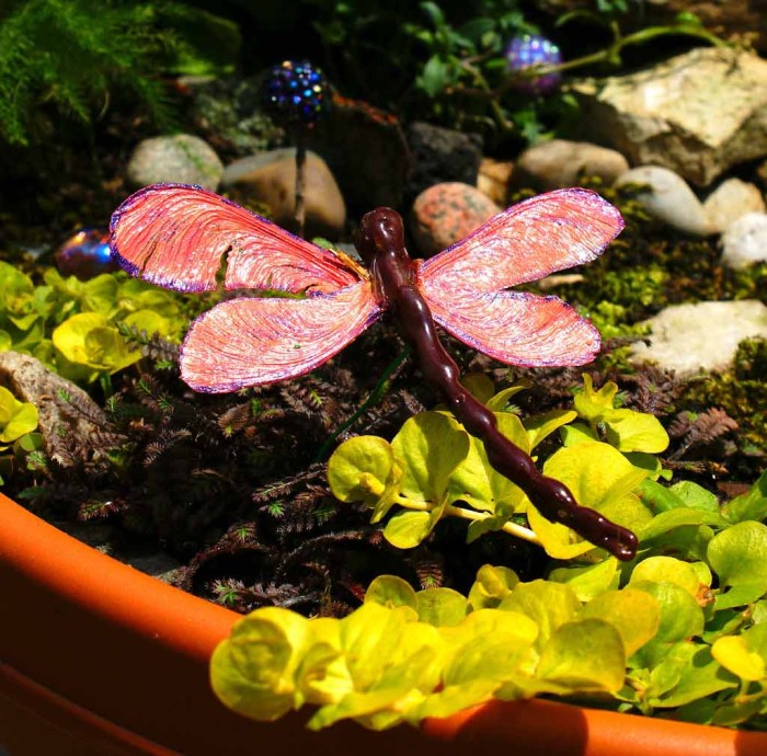 Dragonfly DIY