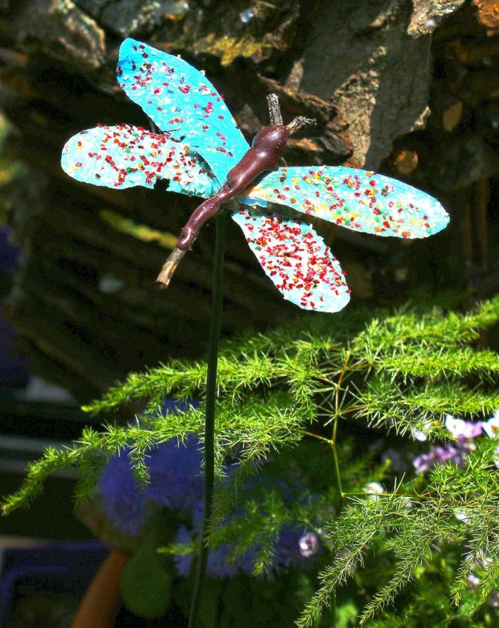 Dragonfly Craft