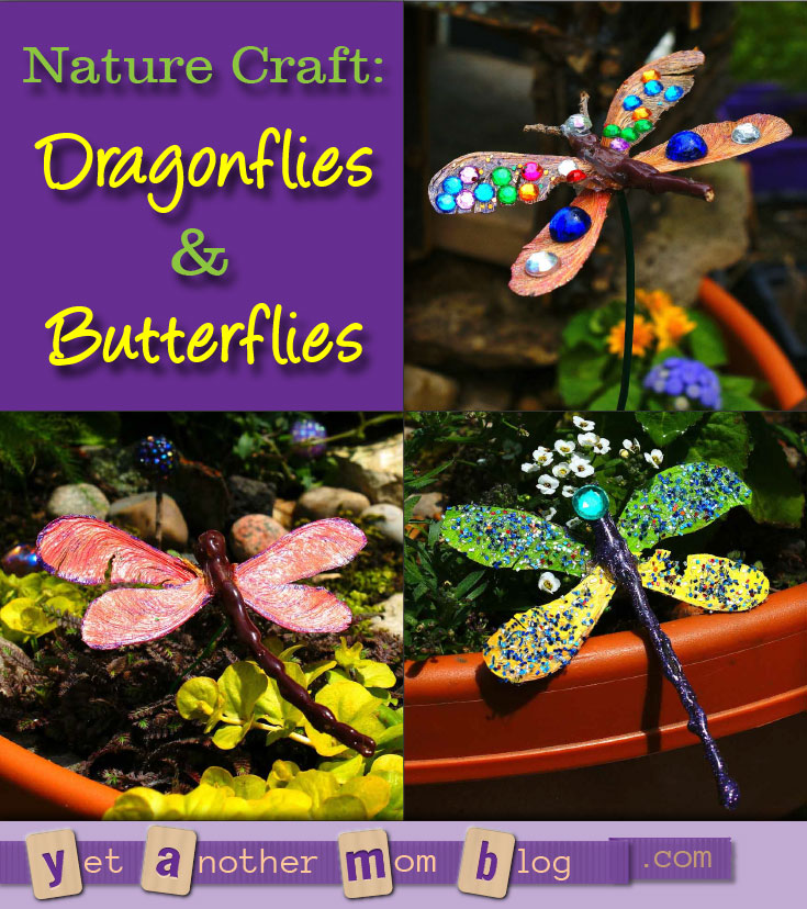 Nature Craft: Dragonflies & Butterflies - can you believe these are made from stuff lying in your yard? Get the kids outside to clean up the yard and then make this craft!