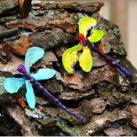 Nature Craft: Dragonflies and Butterflies