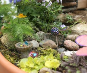 Large Fairy Garden