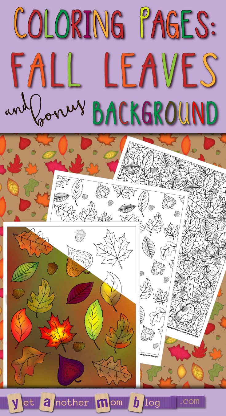 Easy, Medium, and Hard Fall Leaves Coloring Pages plus bonus autumn leaves background