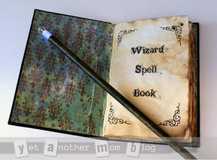 wand-and-spell-book