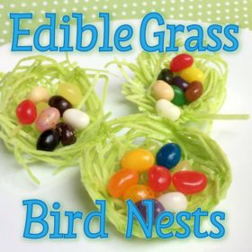 Use edible grass to make these cute edible bird nests, perfect for jelly beans!