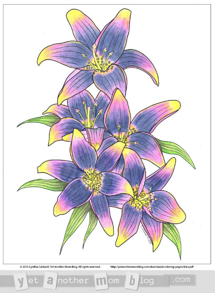 Colored lilies coloring page