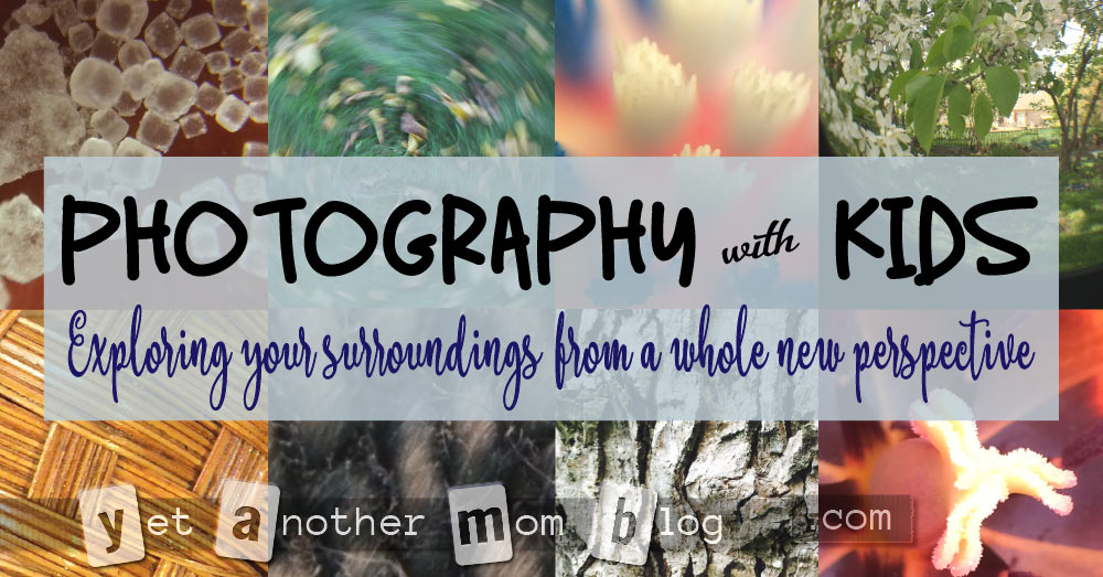 Photography with Kids - Exploring your surroundings from a whole new perspective. We especially love macro photography (super close-ups). And we found a cheap gadget to make this even better! Whether indoors or outdoors, this is a great kids activity!