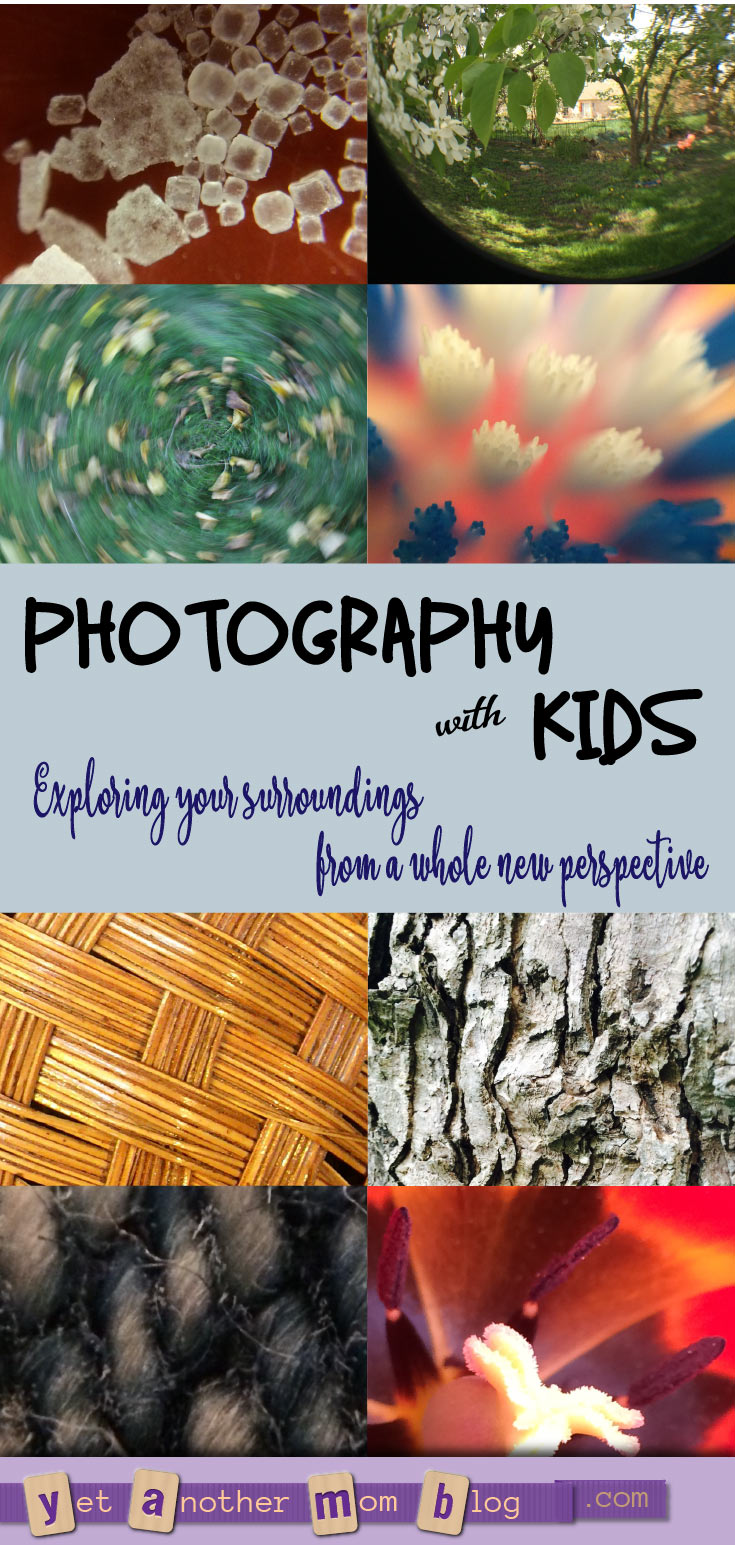 Photography with Kids - Exploring your surroundings from a whole new perspective. We especially love macro photography (super close-ups). And we found a cheap gadget to make this even better!