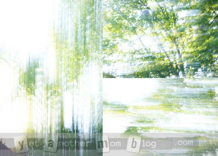 Trees blurred - Photography with Kids - Exploring your surroundings from a whole new perspective. We especially love macro photography (super close-ups). And we found a cheap gadget to make this even better!