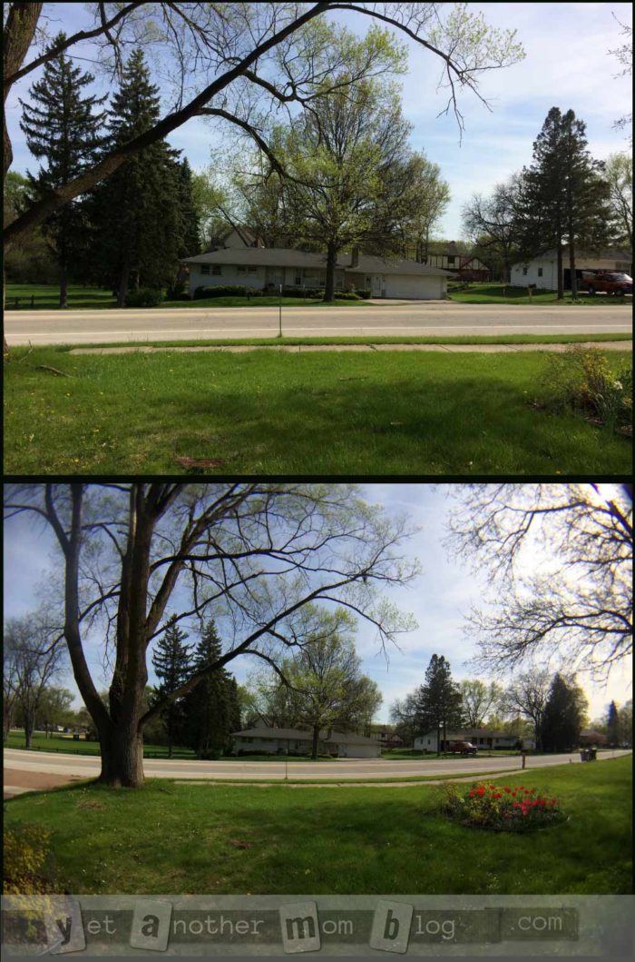 Wide angle lens comparison